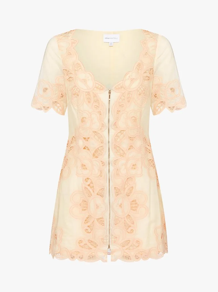 Love Take Over Mini Dress
